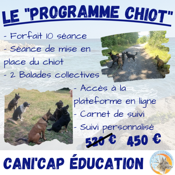 Le programme chiot pour éduquer votre chien